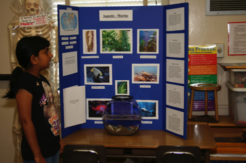 IMG_5004.JPG