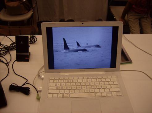 HPIM0560.JPG