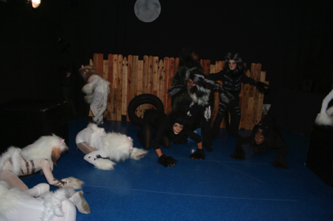 IMG_6662.JPG
