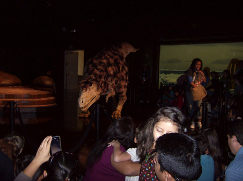 HPIM0719.JPG