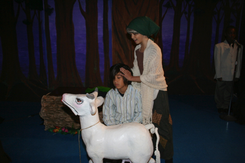 IMG_7256.JPG
