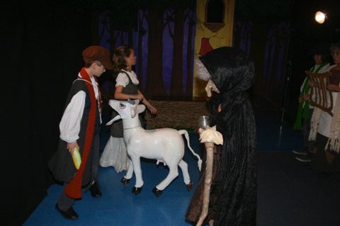 IMG_7764.JPG